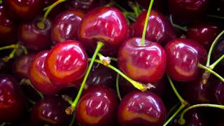 Perfect Cherries From Tree to Table [upl. by Keverne]