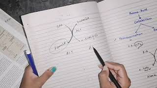 Transamination amino acid Catabolism biochemistry [upl. by Dolphin]