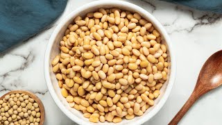 HOW TO COOK DRY SOYBEANS STOVETOP PREPING SOYBEANS FOR OTHER RECIPES [upl. by Sert]