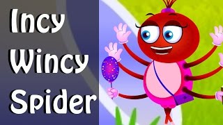 Incy Wincy Spider Itsy Bitsy SpiderNursery Rhyme [upl. by Frederich]