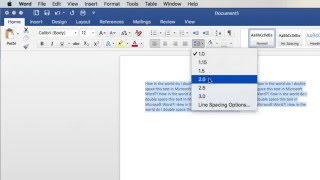 How To Double Space in Microsoft Word [upl. by Nive]