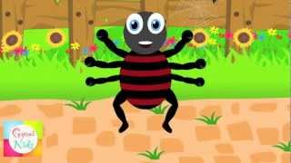 Incy Wincy Spider  SingALong Karaoke version with lyrics [upl. by Shaylynn]