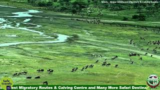 Ngorongoro Crater [upl. by Blynn]