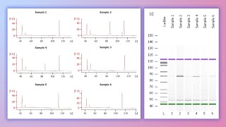 Forensic DNA Profiling Part 2 [upl. by Raddie]