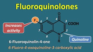 Fluoroquinolones  Generations and spectrum of activity [upl. by Wiedmann782]