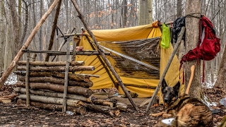 Overnight Bushcraft Camp with my Dog  Long Fire Wool Blanket Fire Reflector [upl. by Ahcsap]