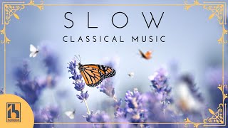 Slow Classical Music [upl. by Axia]