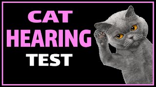 Cat Hearing Test  Test Your Cats Ears [upl. by Baxy]