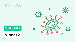 Viruses  Part 2 DNA vs RNA Viruses [upl. by Thamos]