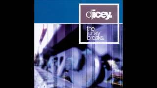 DJ Icey  The Funky Breaks [upl. by Ciro]