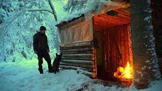 WINTER CAMPING THROUGH A BLIZZARD AT THE FORT IN THE WOODS WITH A DOG Can we Stay Dry and Warm [upl. by Kliber812]