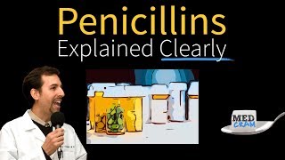 Penicillins  Antibiotics Explained Clearly [upl. by Oag]