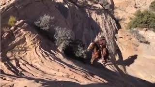 Crazy Places Horses amp Mules Can Go  Extreme Trail Riding Compilation [upl. by Hera317]