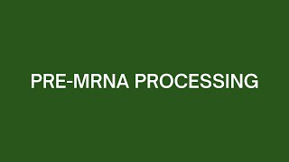 PremRNA Processing [upl. by Lyrak]