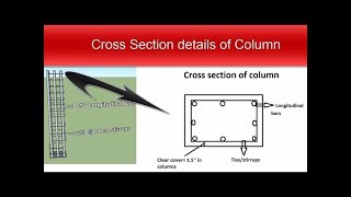 Cross Sectional Details of Column [upl. by Nahtanaj302]