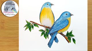 How to draw Eastern Bluebirds step by step [upl. by Nerol924]