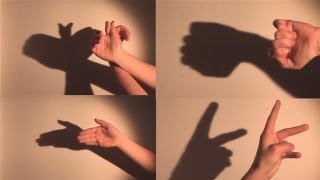 How To  Kenneth Wingards DIY Shadow Puppet Theater  Home amp Family [upl. by Kassi]