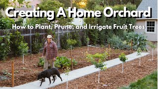 How to Plant Prune and Irrigate Fruit Trees EVERYTHING YOU NEED TO KNOW [upl. by Nosrej]