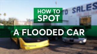 Flooded Cars How to Spot One Before You Buy  Consumer Reports [upl. by Yenhoj]