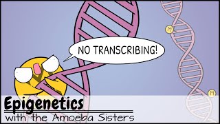 Epigenetics [upl. by Anirual598]