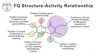 Intro to Bacteria amp Antibiotics Quinolones [upl. by Mycah]