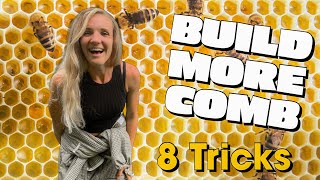 8 Tricks To Encourage Your Bees To Build More Comb EVEN IN JULY beekeeping [upl. by Avlem951]