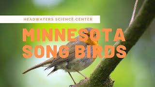 Minnesota Bird Calls [upl. by Htez]