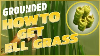 GROUNDED  HOW TO GET EEL GRASS STRANDS  FULL GUIDE WITH TUTORIALS [upl. by Aicnetroh]