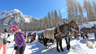 The hidden valley Alta Badia a ski run ending with a horse tow [upl. by Noryd]