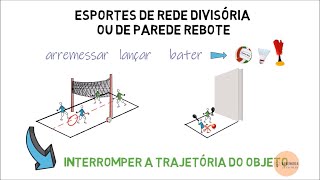 Esportes de rede divisória ou de parede rebote [upl. by Ronoc]