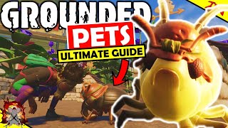 GROUNDED ULTIMATE GUIDE TO PETS Update Pet Perks How To Craft Food And Pet Cosmetics Pet Gnats [upl. by Etiuqal]