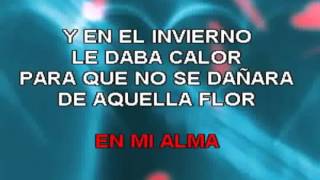 FLOR PALIDA MARC ANTHONY KARAOKE [upl. by Durante]