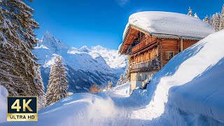 Winter Wonderland Mürren Switzerland 4K Snow Walking Tour 2025 [upl. by Ahsilac]