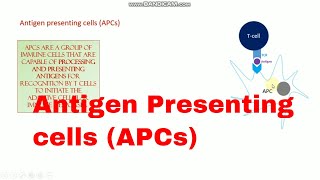 Antigen Presenting Cells APCs ll Xgene and ProteinX [upl. by Chauncey]