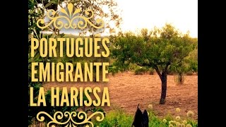 LA HARISSA  PORTUGUÊS EMIGRANTE  audio  lyrics [upl. by Emya262]