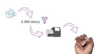 A Beginners guide to Next Generation Sequencing NGS [upl. by Oiciruam117]