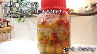 完熟梅の黄金梅酒の作り方・レシピ☆桃のような香りの梅酒☆ how to make Umesyuplum wine｜Coris cooking [upl. by Junina]