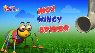 Incy Wincy Spider with Lyrics  LIV Kids Nursery Rhymes and Songs  HD [upl. by Letsyrk]