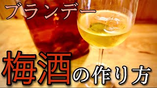 【ブランデー】梅酒の作り方 ブランデー 南高梅 青梅 [upl. by Grossman]