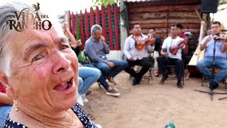 Mi Abuela de 84 sorprendió a todos cantando con Mariachi [upl. by Hplar]