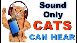 Sound Cats Can Only Hear  HQ [upl. by Ruthe520]