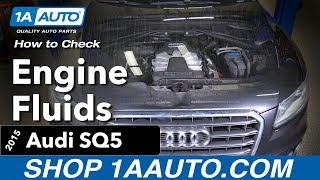 How to Check you Engine Fluids 1419 Audi SQ5 [upl. by Giglio]