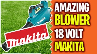 Most powerful Makita 18v Jet Blower Review DUB184Z [upl. by Hamirak485]