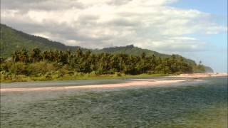 Palomino La Guajira Colombia HD [upl. by Yoo]