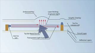 What is LED Light Guide Film LGF Explained  RSP [upl. by Coryden]