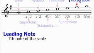 Technical Names of Scale Notes Music Theory [upl. by Thompson]