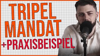 Das Tripelmandat der sozialen Arbeit Mit Praxisbeispiel [upl. by Jaqitsch]