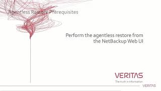 NetBackup 82 Agentless VMware Restore [upl. by Catlaina68]