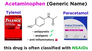 AcetaminophenParacetamol Tylenol [upl. by Nolos385]