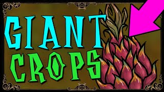 HOW TO GROW GIANT CROPS  Dont Starve Together Guide [upl. by Lanny]